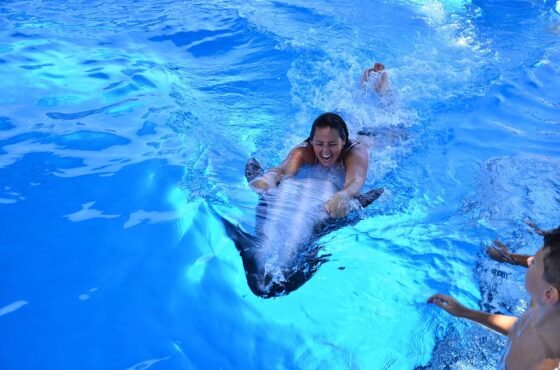 Dolphin Tour