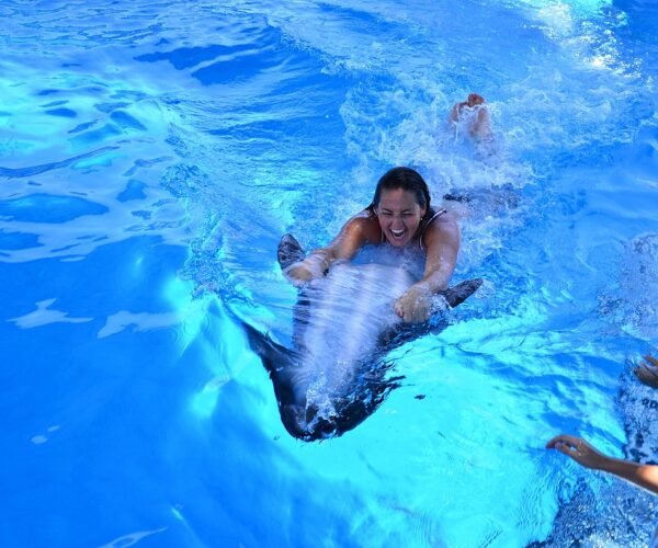 Dolphin Tour