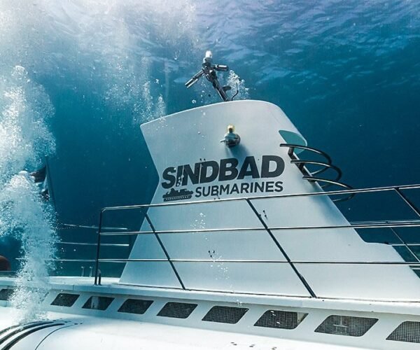 Submarine trip